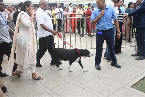 Ratan Tata Dog Goa Arrives To Pay Last Respect To His Owner - Filmibeat