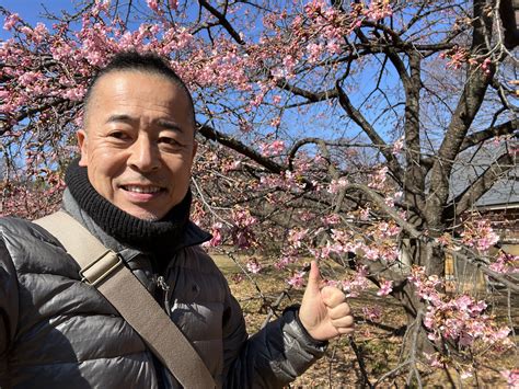 How to see cherry blossoms in February