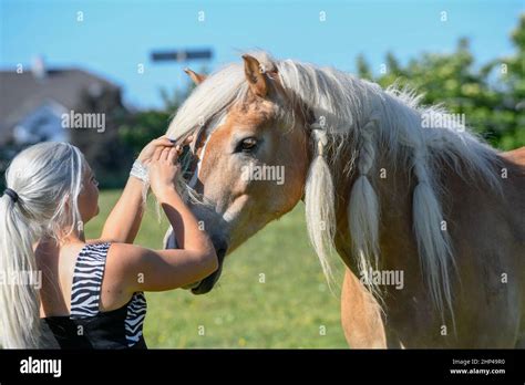 Blonde Pigtails Hi Res Stock Photography And Images Alamy