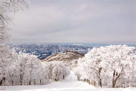 Nozawa Onsen Snow Report 28 January 2016: Beautiful day in Nozawa