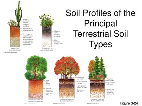 Ppt Earth S Geologic Processes And Plate Movement Powerpoint