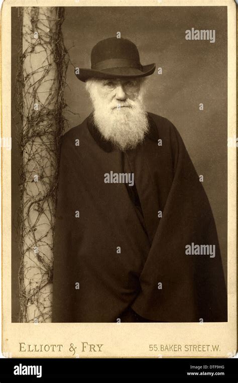 Charles Darwin Portrait Hi Res Stock Photography And Images Alamy