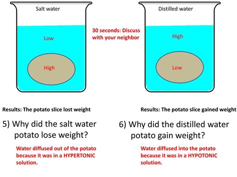 Salt And Water Experiment Explanation