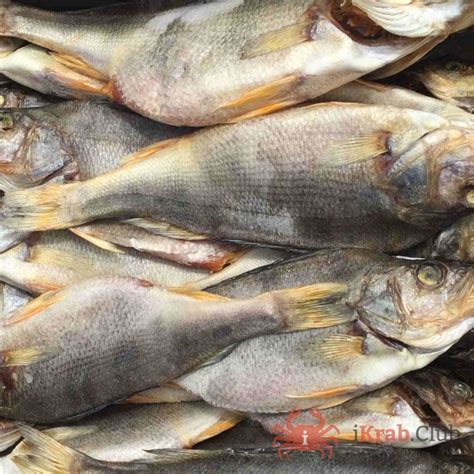 Рыба - Морепродукты и рыба – купить с доставкой в СПб