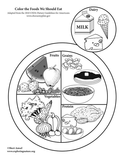 My Food Plate Coloring Sheet Coloring Pages