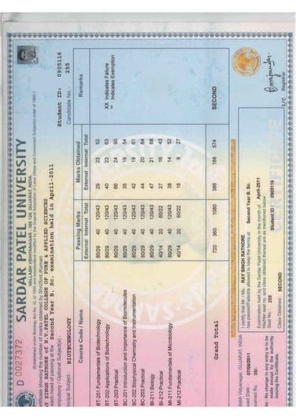 Bsc Final Year Marksheet