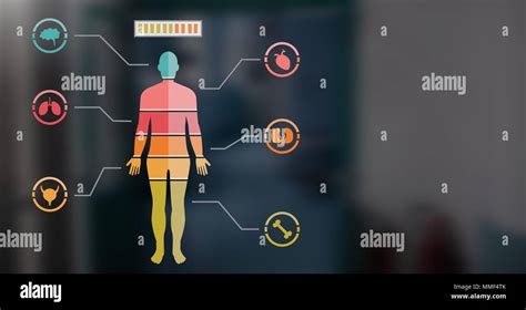 Colorful Human Body Chart Stock Photo - Alamy