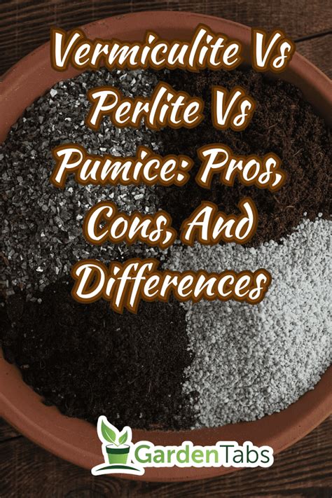 Vermiculite Vs Perlite Vs Pumice: Pros, Cons, And Differences