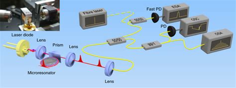 Narrow Linewidth Lasing And Soliton Kerr Microcombs With Ordinary Laser