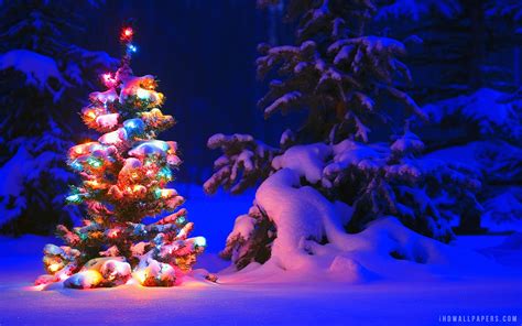 🔥 [40+] Christmas Tree Snow Wallpapers | WallpaperSafari