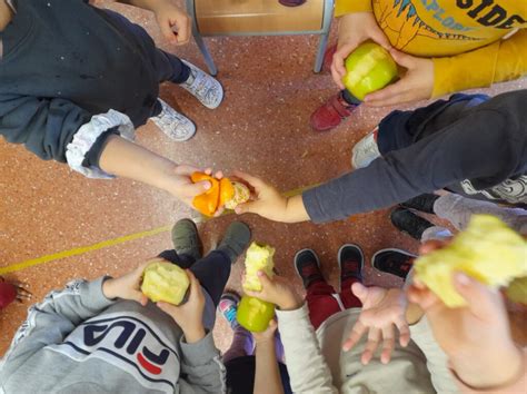 Participaci En El Programa Escolar De Fruites I Hortalisses Bon