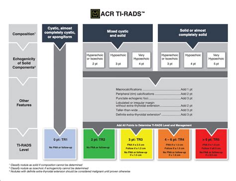 ACR TI-RADS Calculator: USG Thyroid Nodule Score - RadioGyan