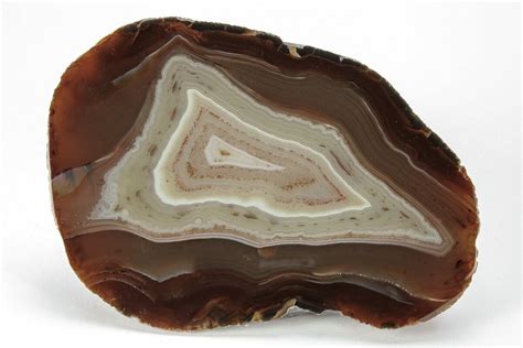 3.8" Polished Black River Agate - Argentina (#209638) For Sale ...