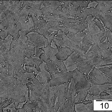 Microstructure observed by scanning electron microscope (SEM), original ...
