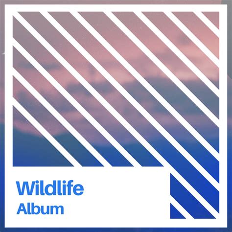 Flowing Sleepy Wildlife Album Compilation de Vários intérpretes Spotify