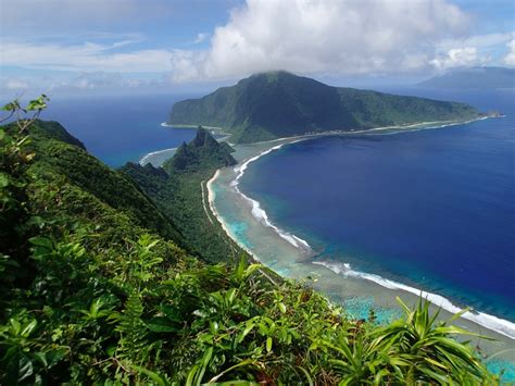 Ofus Super Corals The American Samoa Enigma Ecology Magazines