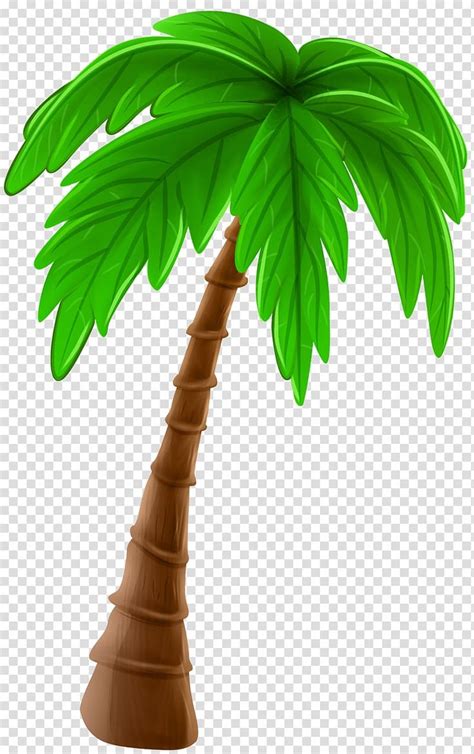 Coconut Tree Illustration Arecaceae Cartoon Tree Palm Tree Cartoon