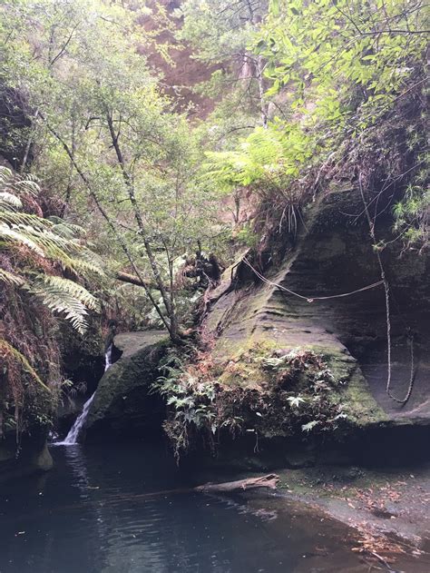 Deep Pass Campground Deep Pass Walking Track Newnes Plateau Nsw 2790