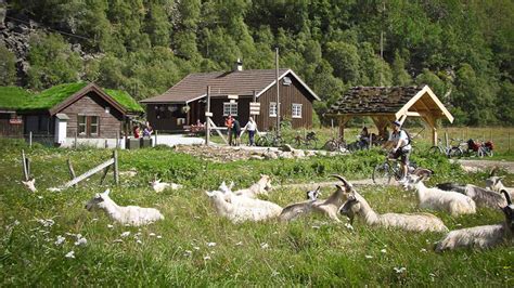 Flåm Railway, Flåm Zipline, Rallarvegen Cycling Tour | Norways best