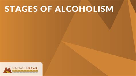 Stages Of Alcoholism Pinnacle Peak Recovery