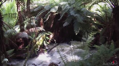 Junee Cave State Reserve Tasmania Youtube