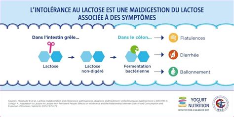 Intol Rance Au Lactose D Sordre Digestif Yogurt In Nutrition