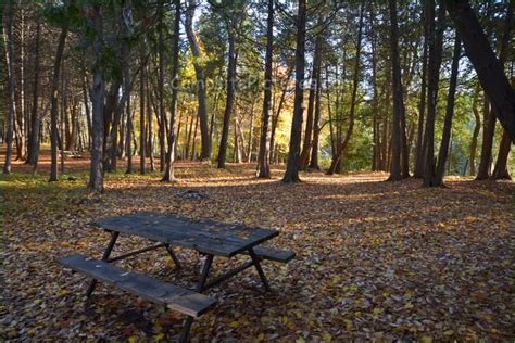 Elora Gorge Camping site #286 | Ontario camping, Gorges, Outdoor