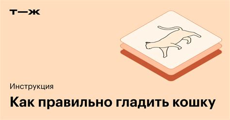 Как правильно гладить кошку