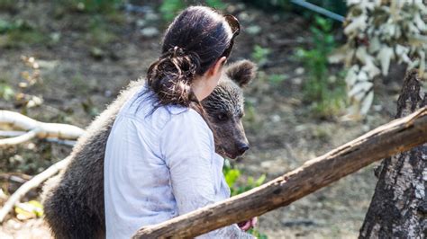 Kolejne zarzuty dla dyrektorki zoo w Poznaniu Na jaw wychodzą nowe