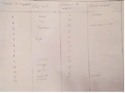 Cuaderno De Biolog A Iv De Yuliana Nava Garc A Grupo Cuadro De