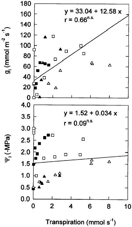 The Relationship Between Leaf Stomatal Conductance G L Mmol M 2 S