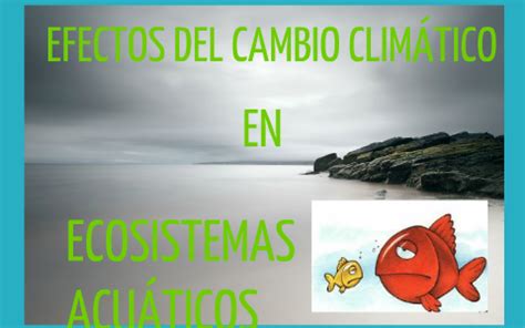 Efectos del cambio climático sobre ecosistemas marinos by Maria Granado