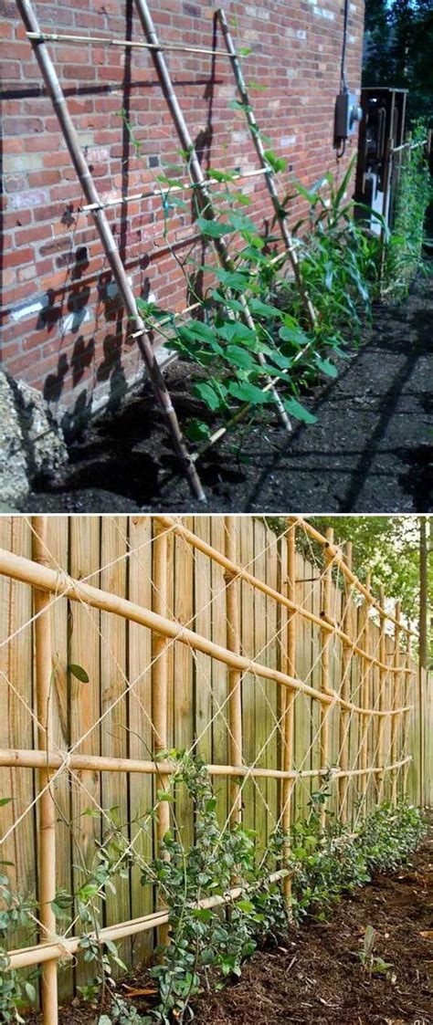 Successful Diy Trellis Ideas For Vegetables And Fruits Diy Garden