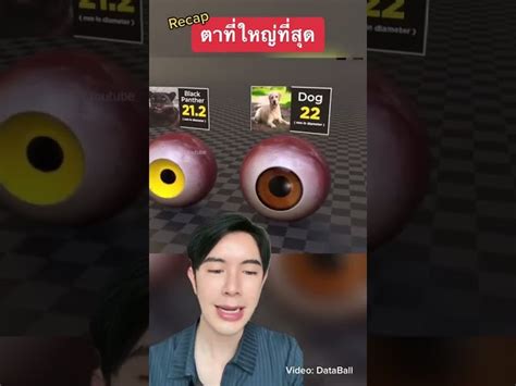 ตาอะไร ใหญ่สุดๆ 👁️ ครูไอซ์ สาระ