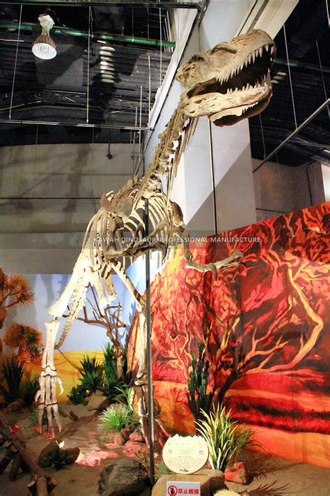 Animatronic Dinosaur Statue Companies – Dinosaur Makers Fiberglass Life ...