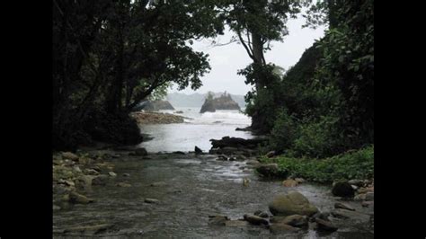 Parque Nacional Península de Paria exuberante y único Haiman El TroudI