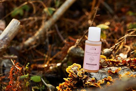 Is Mushroom The Next Big Secret In The Skincare Industry - RYZE Superfoods