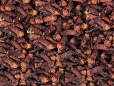 Brown Whole Organic Dry Cloves Packaging Size Loose At Rs 600 Kg In