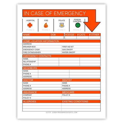 In Case Of Emergency Information Sheet Pdf Sunshine And Rainy Days