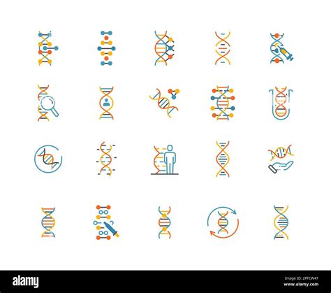 Dna Icons Color Set Stock Vector Image Art Alamy