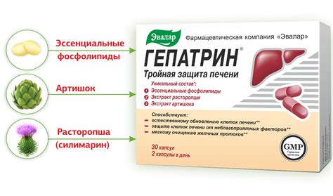 Гепатрин 30 капсул для печени - инструкция, цена | купить Гепатрин на ...