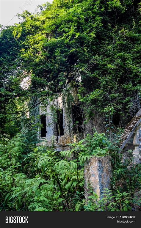 Overgrown Ruins Image & Photo (Free Trial) | Bigstock