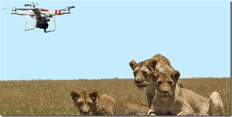 Drones For Wildlife Conservation