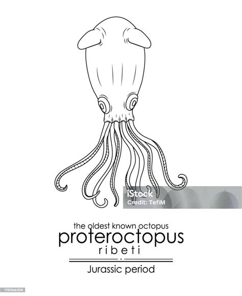 The Oldest Known Octopus Proteroctopus Ribeti From Jurassic Period Prehistoric Stock ...