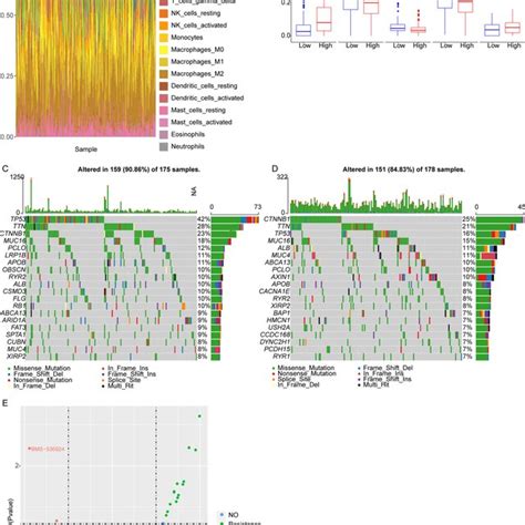 Immune Cell Infiltration Difference Between High And Low Risk Hcc