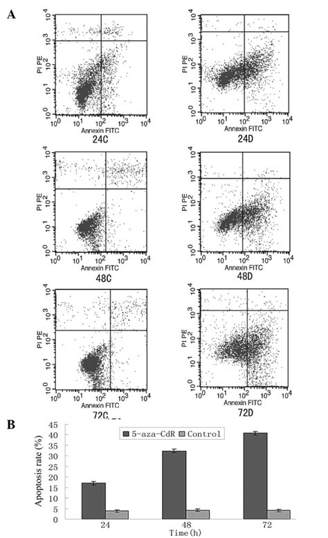 Flow Cytometric Analysis Of The Rate Of Apoptosis In The Te13 Cells