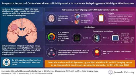 Sobrevivi Ao Glioblastoma - Como o fluxo do fluido cerebral prevê a sobrevivência no glioblastoma