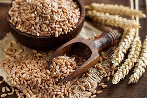 How To Cook Grains Wheat Good In Every Grain