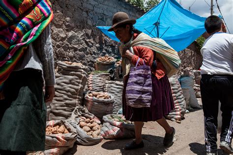 The Humble Potato Is Exalted in the Mountains of Peru - The New York Times