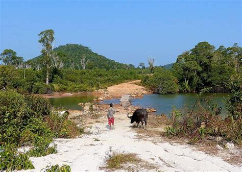 Cambodia - Photo Travel Guide from the Jungle Full of Ancient Temples ...